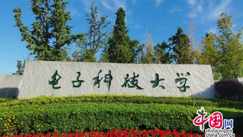 V继电器线圈电压规格：揭秘其背后的技术要点**